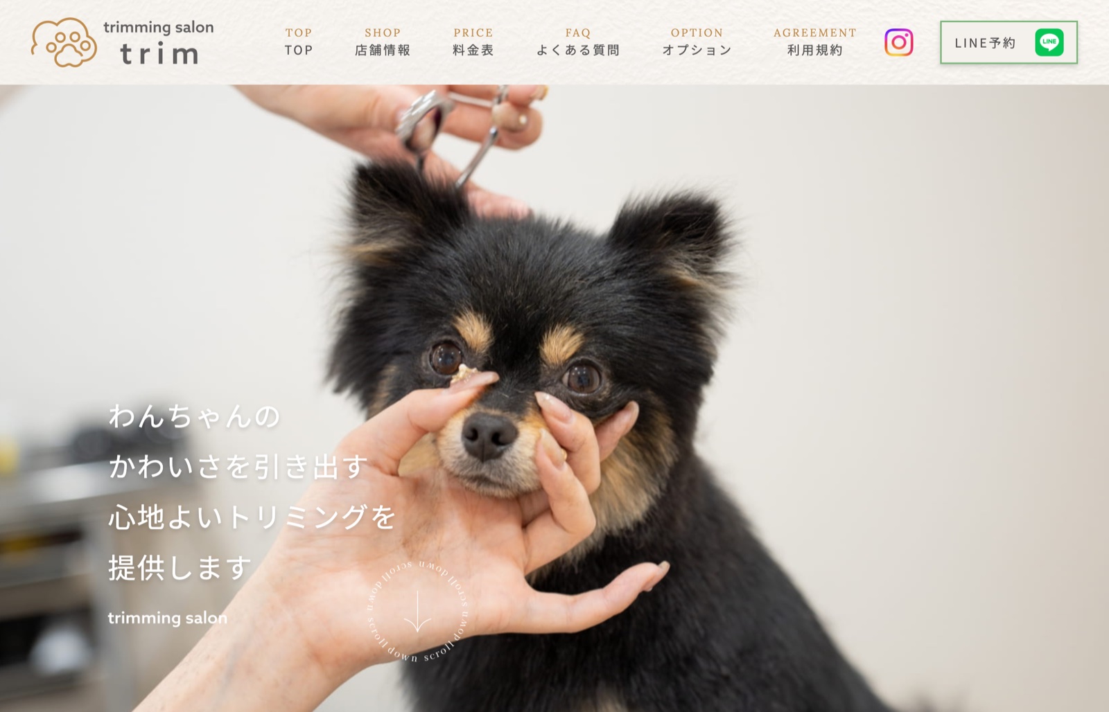 トリミングサロン trim のサイト。トリミング中の犬の写真を使ったファーストビュー
